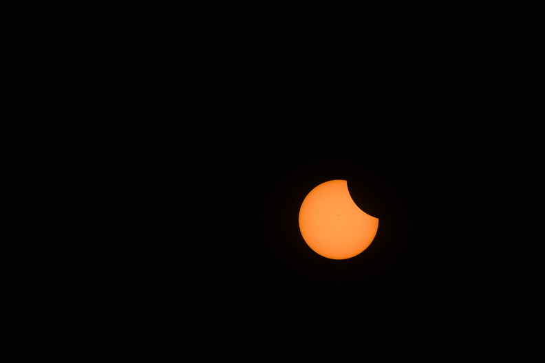 DSC_1009.jpg