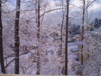 Snow Days