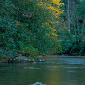 North Georgia Mountains