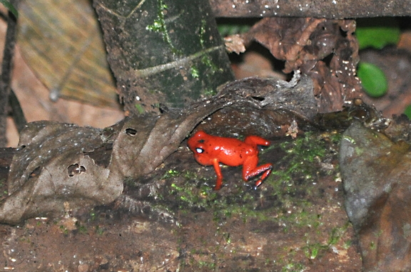 DSC 4568e