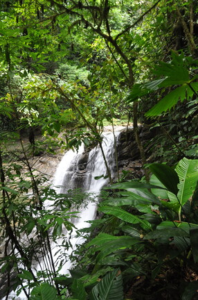 DSC 4589