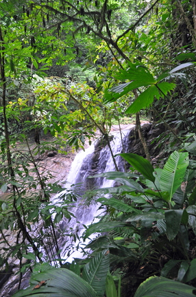 DSC 4597e