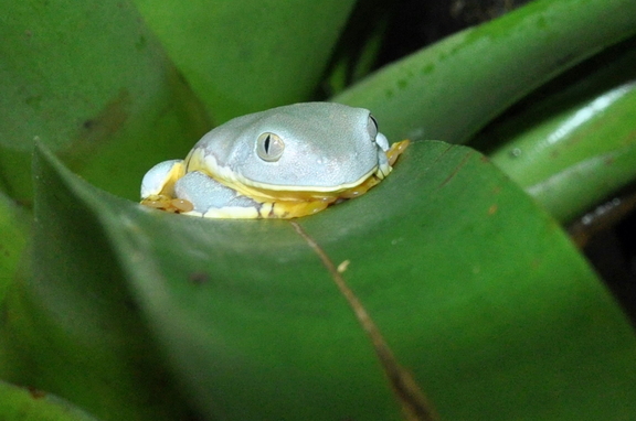 DSC 4626e