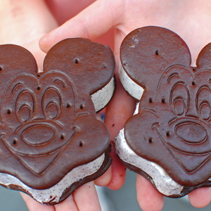 Disney-World-2009