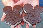 Disney-World-2009