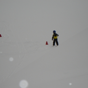 Snowbird / Alta