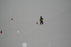 Snowbird / Alta