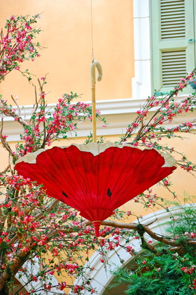 Umbrella